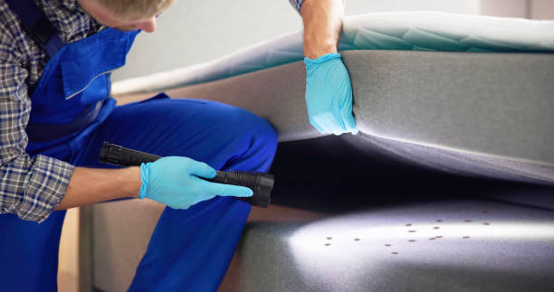 Best Pest Removal Services  in Tecumseh, OK