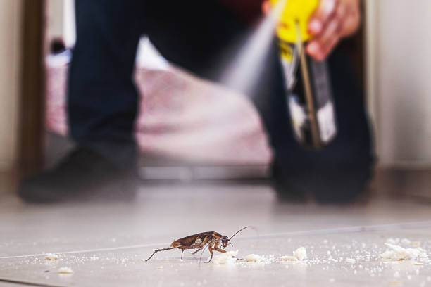 Best Best Pest Control Companies  in Tecumseh, OK