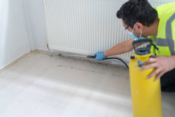 Best Bed Bug Extermination  in Tecumseh, OK